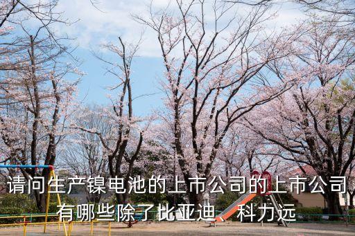 請(qǐng)問(wèn)生產(chǎn)鎳電池的上市公司的上市公司有哪些除了比亞迪、科力遠(yuǎn)