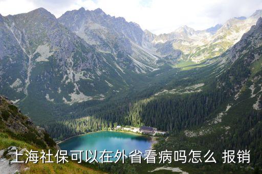 上海社?？梢栽谕馐】床嵩趺?報銷
