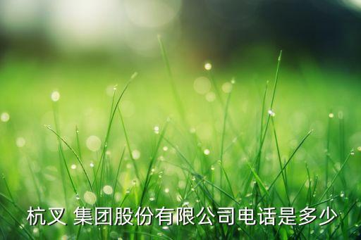  杭叉 集團(tuán)股份有限公司電話(huà)是多少