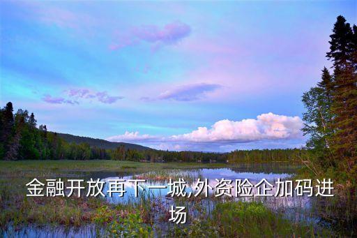  金融開放再下一城,外資險(xiǎn)企加碼進(jìn)場