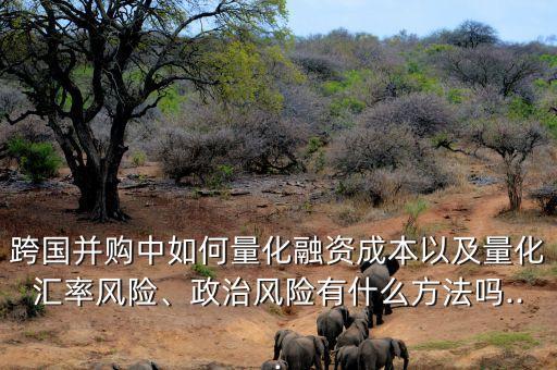 跨國并購中如何量化融資成本以及量化匯率風險、政治風險有什么方法嗎...