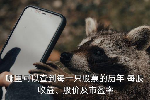 哪里可以查到每一只股票的歷年 每股 收益、股價(jià)及市盈率