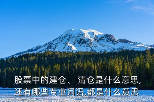  股票中的建倉、 清倉是什么意思,還有哪些專業(yè)詞語,都是什么意思