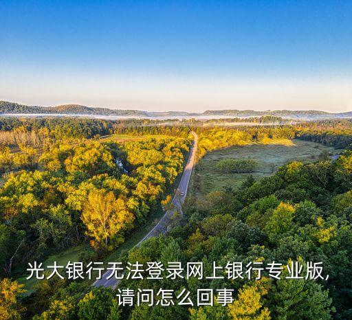  光大銀行無(wú)法登錄網(wǎng)上銀行專業(yè)版,請(qǐng)問怎么回事