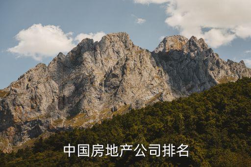 中國房地產公司排名