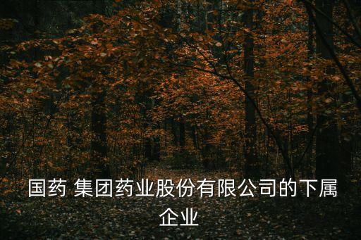 廊坊國藥集團(tuán)