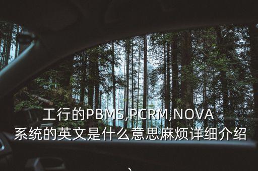 工行的PBMS,PCRM,NOVA 系統(tǒng)的英文是什么意思麻煩詳細(xì)介紹、
