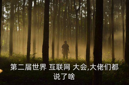 第二屆世界 互聯(lián)網(wǎng) 大會(huì),大佬們都說了啥