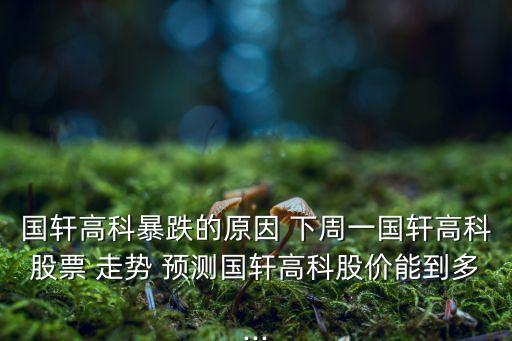 國軒高科暴跌的原因 下周一國軒高科股票 走勢 預(yù)測國軒高科股價(jià)能到多...
