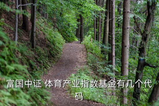富國(guó)中證 體育產(chǎn)業(yè)指數(shù)基金有幾個(gè)代碼