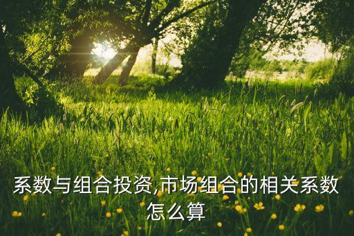 相關系數(shù)與組合投資,市場組合的相關系數(shù)怎么算