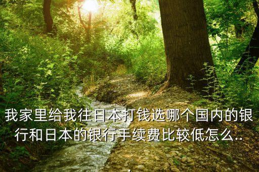 我家里給我往日本打錢選哪個國內的銀行和日本的銀行手續(xù)費比較低怎么...