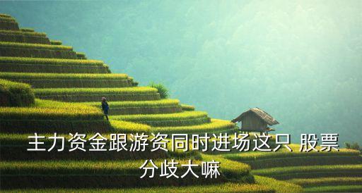  主力資金跟游資同時(shí)進(jìn)場這只 股票分歧大嘛