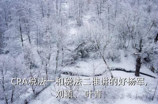 CPA稅法一和稅法二誰講的好楊軍,劉穎、 葉青