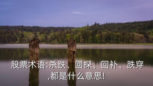  股票術(shù)語:殺跌、回探、回補、跌穿,都是什么意思!