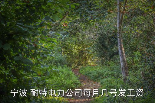 寧波 耐特電力公司每月幾號(hào)發(fā)工資