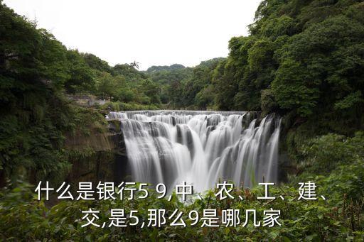 什么是銀行5 9,中、農(nóng)、工、建、交,是5,那么9是哪幾家