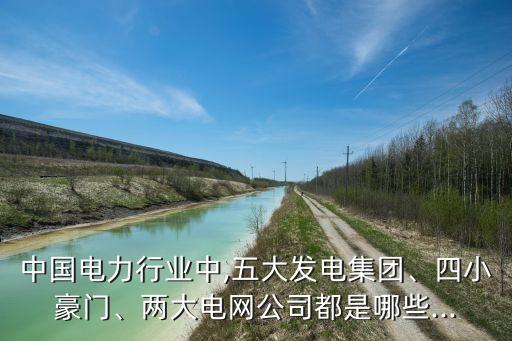 中國電力行業(yè)中,五大發(fā)電集團(tuán)、四小豪門、兩大電網(wǎng)公司都是哪些...