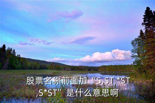  股票名稱(chēng)前面加“S,ST,*ST,S*ST”是什么意思啊