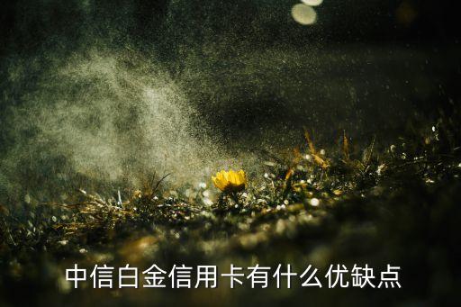  中信白金信用卡有什么優(yōu)缺點