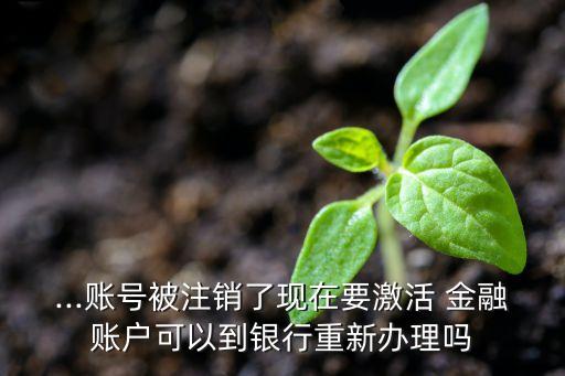 ...賬號被注銷了現在要激活 金融賬戶可以到銀行重新辦理嗎