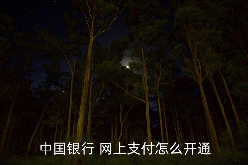  中國銀行 網上支付怎么開通