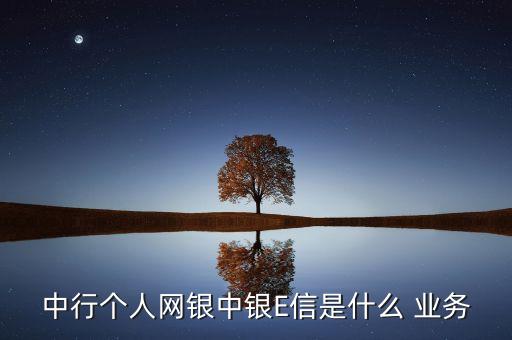 中國銀行網上主要業(yè)務