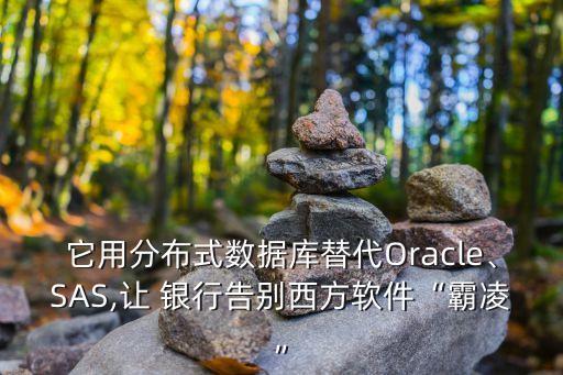 它用分布式數(shù)據(jù)庫替代Oracle、SAS,讓 銀行告別西方軟件“霸凌”