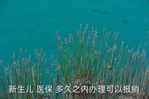 新生兒 醫(yī)保 多久之內(nèi)辦理可以報(bào)銷