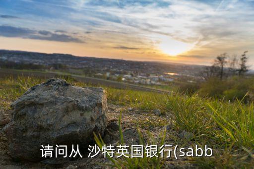 請(qǐng)問從 沙特英國(guó)銀行(sabb