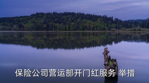  保險(xiǎn)公司營(yíng)運(yùn)部開(kāi)門(mén)紅服務(wù) 舉措