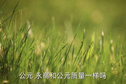 公元 永高和公元質量一樣嗎