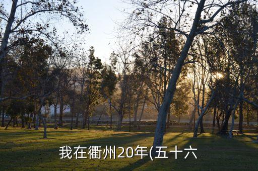巨化集團有限公司,浙江巨化集團有限公司