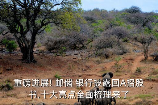 重磅進(jìn)展! 郵儲(chǔ) 銀行披露回A招股書(shū),十大亮點(diǎn)全面梳理來(lái)了