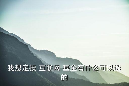 我想定投 互聯(lián)網 基金有什么可以選的