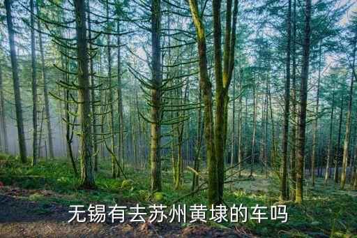 無(wú)錫有去蘇州黃埭的車(chē)嗎