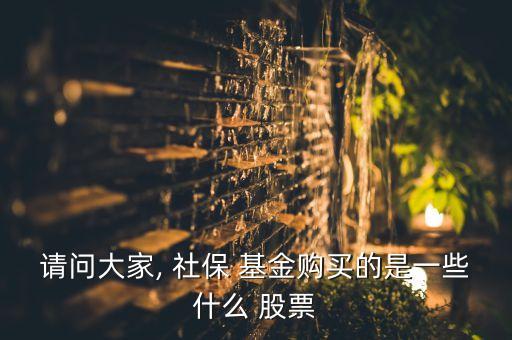 社保107基金持有的股票,2022年社?；鹬貍}股票