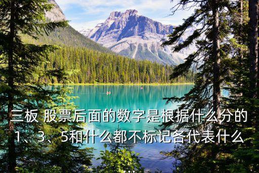 三板 股票后面的數(shù)字是根據(jù)什么分的1、3、5和什么都不標記各代表什么...