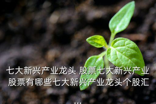 七大新興產業(yè)龍頭 股票七大新興產業(yè) 股票有哪些七大新興產業(yè)龍頭個股匯...