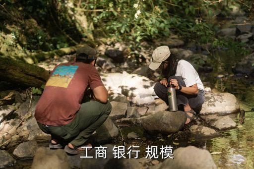 銀行資產規(guī)模,中國銀行資產規(guī)模