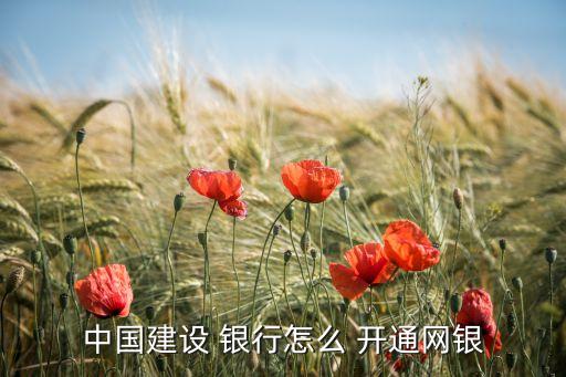 建行如何開(kāi)通網(wǎng)上銀行,建設(shè)手機(jī)銀行app下載安裝最新版