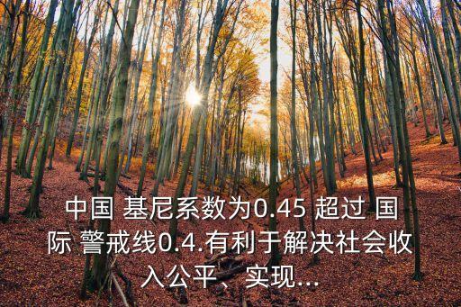 中國(guó) 基尼系數(shù)為0.45 超過(guò) 國(guó)際 警戒線0.4.有利于解決社會(huì)收入公平、實(shí)現(xiàn)...