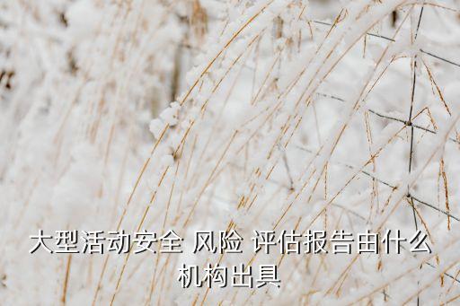 大型活動安全 風險 評估報告由什么機構(gòu)出具