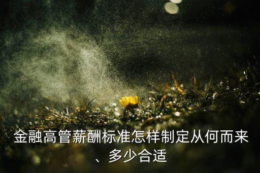  金融高管薪酬標準怎樣制定從何而來、多少合適