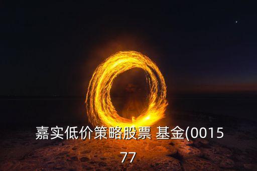嘉實領先成長基金主頁,嘉實核心成長基金010186
