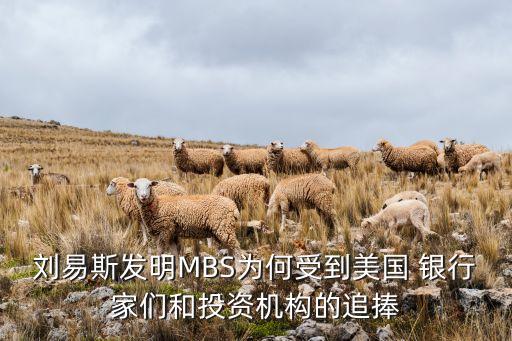 劉易斯發(fā)明MBS為何受到美國 銀行家們和投資機構(gòu)的追捧