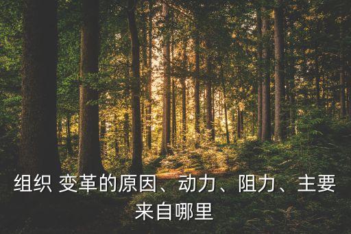 組織 變革的原因、動力、阻力、主要來自哪里
