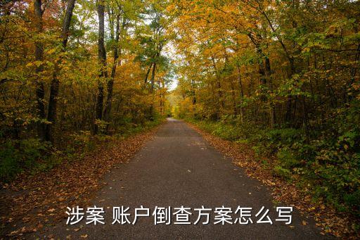 涉案 賬戶(hù)倒查方案怎么寫(xiě)