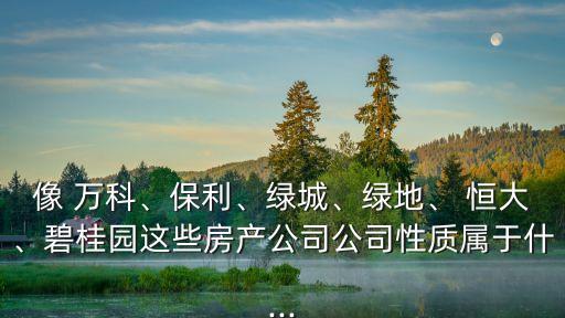 像 萬科、保利、綠城、綠地、 恒大、碧桂園這些房產(chǎn)公司公司性質(zhì)屬于什...