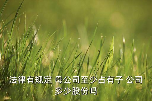 母公司購買孫公司股權(quán),處置孫公司股權(quán),母公司會計(jì)處理